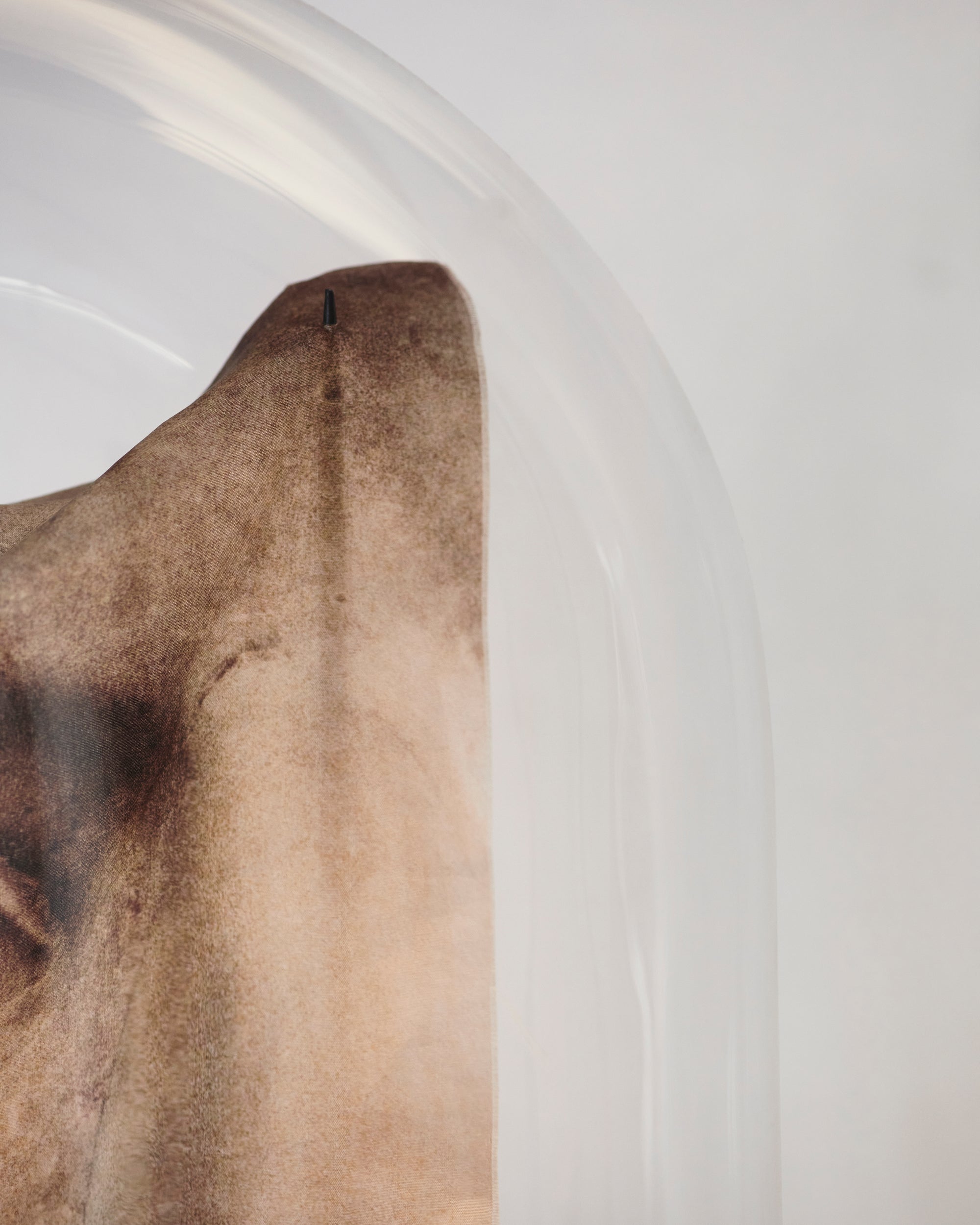 The Specimen by Atarah Atkinson, 2025 - Photography close up