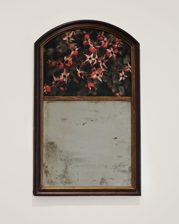 Budding by Atarah Atkinson, 2025 - Photography