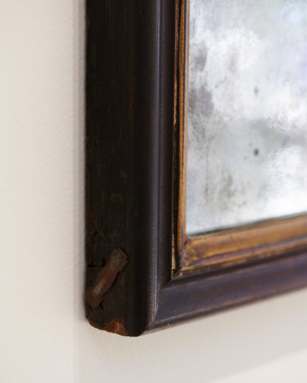 Budding by Atarah Atkinson, 2025 - Photography close up frame