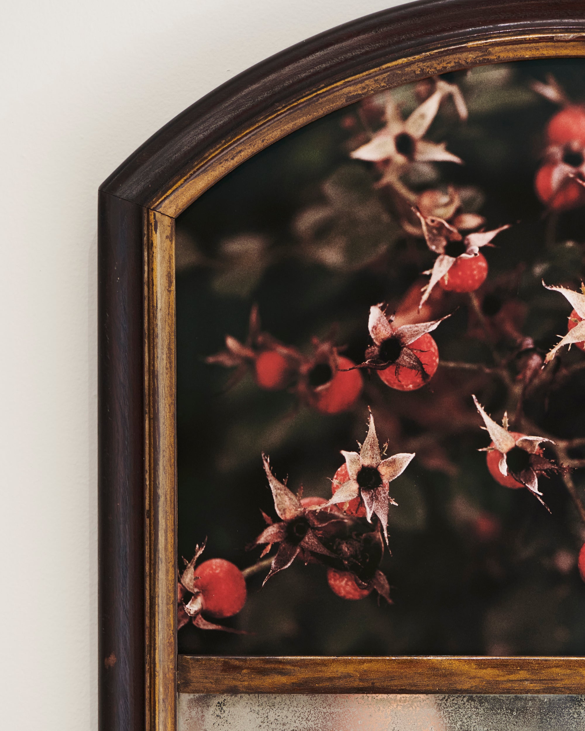 Budding by Atarah Atkinson, 2025 - Photography