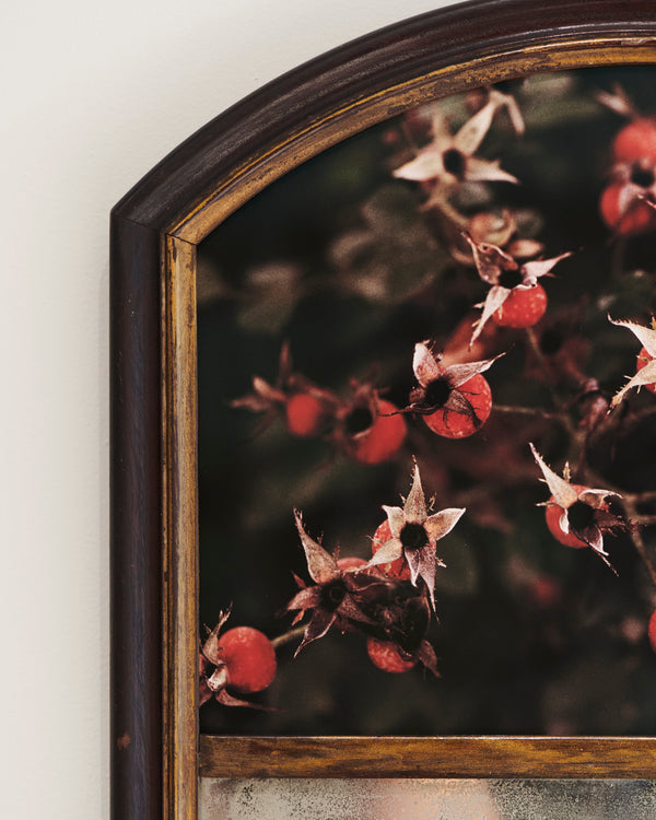 Budding by Atarah Atkinson, 2025 - Photography