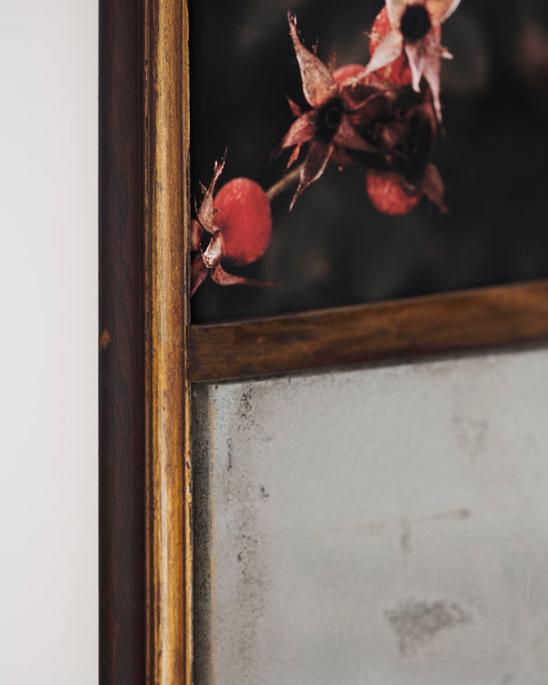 Budding by Atarah Atkinson, 2025 - Photography Closeup