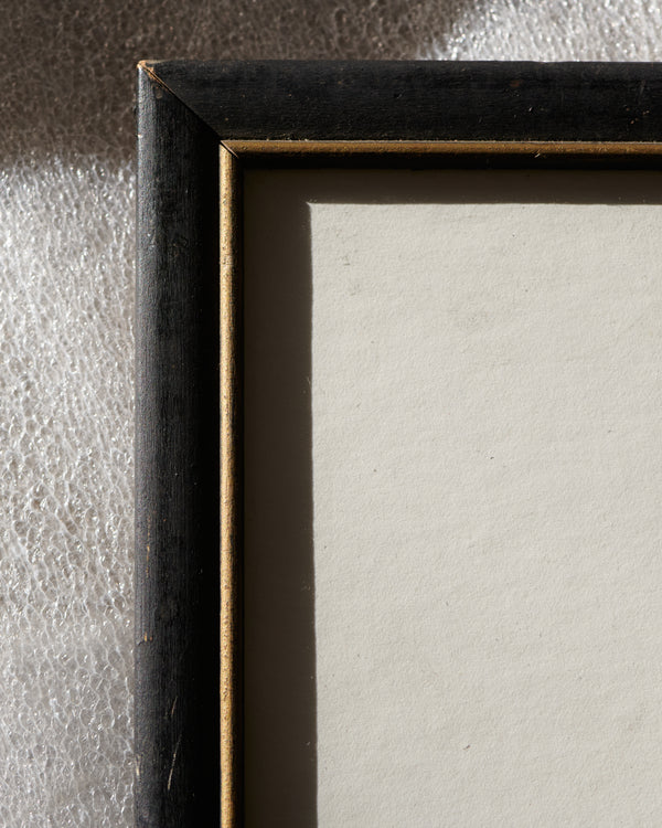 Florals Black & White by Rhoda Staley , 20th Century - Watercolor close up of frame