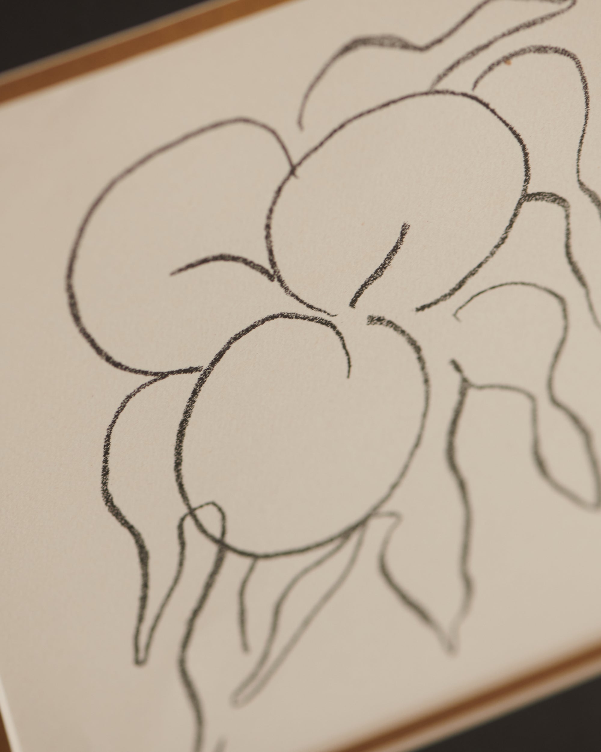 Fruits by Henri Matisse, 1964 - Print